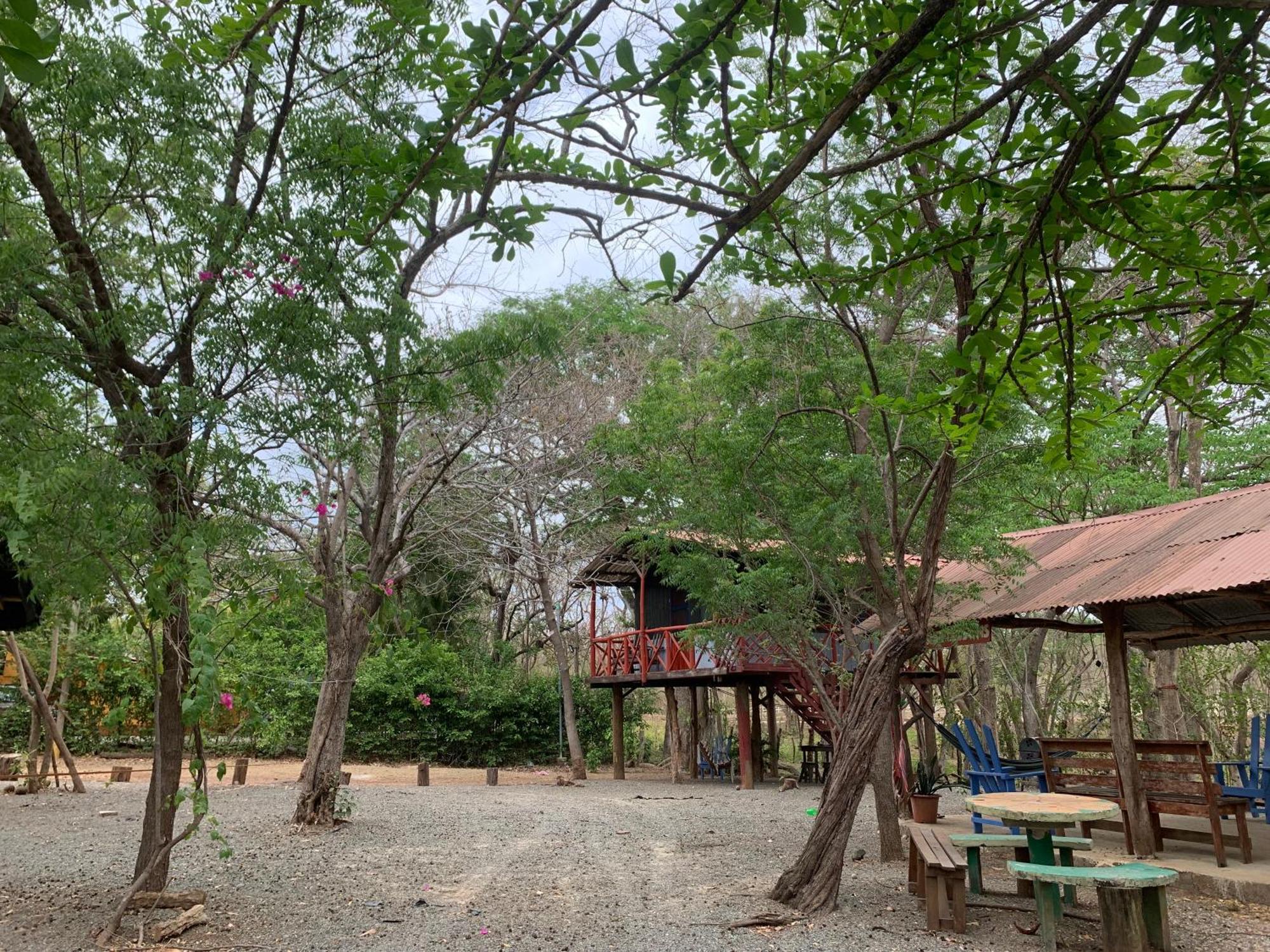 Nieves Surf Hostel And Camping Playa Avellana Exterior photo